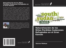 Naturalización de los Niños Perdidos Sudaneses Refugiados en el Gran Kansas kitap kapağı