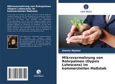Обложка Mikrovermehrung von Rohrpalmen (Dypsis Lutescens) im kommerziellen Maßstab