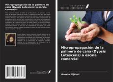 Bookcover of Micropropagación de la palmera de caña (Dypsis Lutescens) a escala comercial