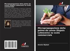 Buchcover von Micropropagazione della palma da canna (Dypsis Lutescens) su scala commerciale