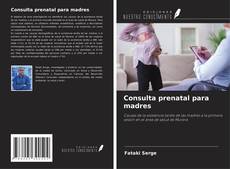 Consulta prenatal para madres kitap kapağı