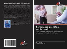 Bookcover of Consulenza prenatale per le madri