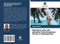 Bookcover of Überblick über die aktuelle Fleischhygiene-Praxis in Metzgereien