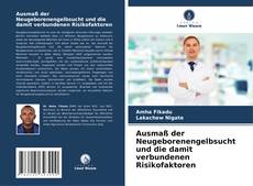 Bookcover of Ausmaß der Neugeborenengelbsucht und die damit verbundenen Risikofaktoren