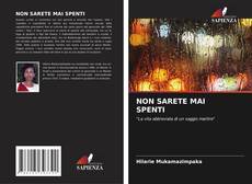 Bookcover of NON SARETE MAI SPENTI
