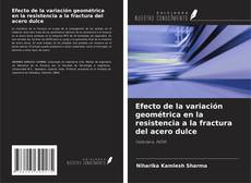 Bookcover of Efecto de la variación geométrica en la resistencia a la fractura del acero dulce