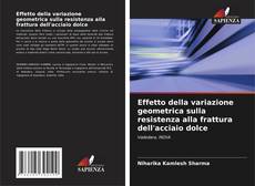 Bookcover of Effetto della variazione geometrica sulla resistenza alla frattura dell'acciaio dolce