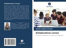 Kollaboratives Lernen的封面