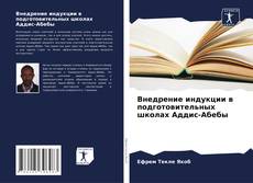 Buchcover von Внедрение индукции в подготовительных школах Аддис-Абебы