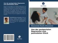 Capa do livro de Von der postpartalen Depression zum postnatalen Glück 