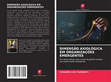 Bookcover of DIMENSÃO AXIOLÓGICA EM ORGANIZAÇÕES EMERGENTES