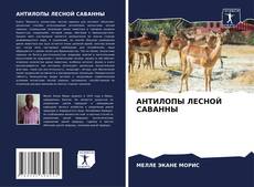 Buchcover von АНТИЛОПЫ ЛЕСНОЙ САВАННЫ