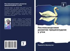 Обложка Послевыводковое развитие преджелудков у утки