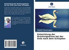 Bookcover of Entwicklung der Brüstungsdrüse bei der Ente nach dem Schlüpfen