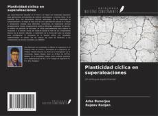 Bookcover of Plasticidad cíclica en superaleaciones