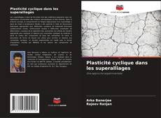 Plasticité cyclique dans les superalliages kitap kapağı