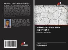 Bookcover of Plasticità ciclica delle superleghe