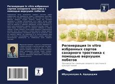 Portada del libro de Регенерация in vitro избранных сортов сахарного тростника с помощью верхушек побегов