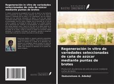 Capa do livro de Regeneración in vitro de variedades seleccionadas de caña de azúcar mediante puntas de brotes 