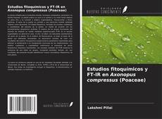 Borítókép a  Estudios fitoquímicos y FT-IR en Axonopus compressus (Poaceae) - hoz