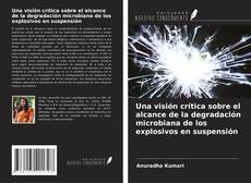 Bookcover of Una visión crítica sobre el alcance de la degradación microbiana de los explosivos en suspensión
