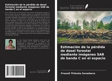 Capa do livro de Estimación de la pérdida de dosel forestal mediante imágenes SAR de banda C en el espacio 