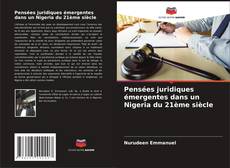 Couverture de Pensées juridiques émergentes dans un Nigeria du 21ème siècle