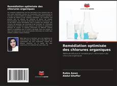 Copertina di Remédiation optimisée des chlorures organiques