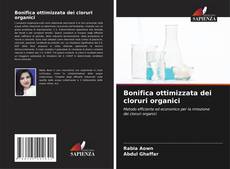 Borítókép a  Bonifica ottimizzata dei cloruri organici - hoz