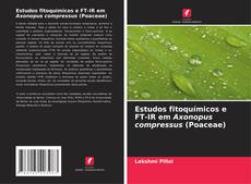 Borítókép a  Estudos fitoquímicos e FT-IR em Axonopus compressus (Poaceae) - hoz