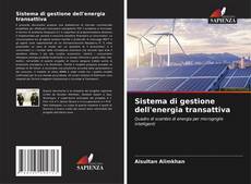 Sistema di gestione dell'energia transattiva kitap kapağı
