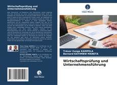 Wirtschaftsprüfung und Unternehmensführung kitap kapağı