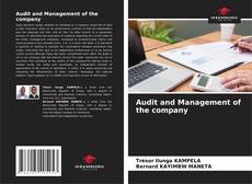 Bookcover of Audit and Management of the company