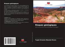 Обложка Risques géologiques