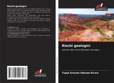 Copertina di Rischi geologici