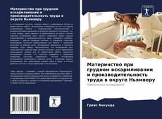 Capa do livro de Материнство при грудном вскармливании и производительность труда в округе Ньямверу 