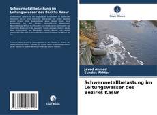 Capa do livro de Schwermetallbelastung im Leitungswasser des Bezirks Kasur 