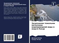 Capa do livro de Загрязнение тяжелыми металлами водопроводной воды в округе Касур 