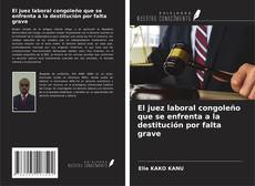 El juez laboral congoleño que se enfrenta a la destitución por falta grave kitap kapağı