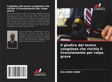 Capa do livro de Il giudice del lavoro congolese che rischia il licenziamento per colpa grave 