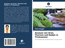Analyse von Uran, Thorium und Radon in Trinkwasser kitap kapağı