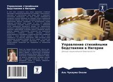 Couverture de Управление стихийными бедствиями в Нигерии