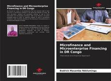 Microfinance and Microenterprise Financing in DR Congo的封面