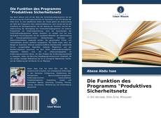 Buchcover von Die Funktion des Programms "Produktives Sicherheitsnetz