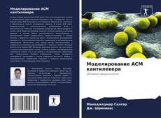 Couverture de Моделирование АСМ кантилевера