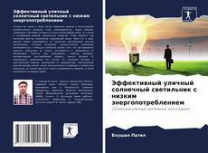 Couverture de Эффективный уличный солнечный светильник с низким энергопотреблением
