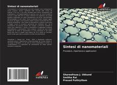 Sintesi di nanomateriali kitap kapağı