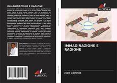 IMMAGINAZIONE E RAGIONE kitap kapağı