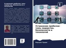 Buchcover von Устранение пробелов: темы лидерства, безопасности и технологий
