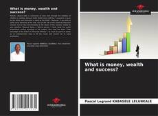 What is money, wealth and success? kitap kapağı